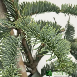 Garden Glee -Garden Glee 30006407 2