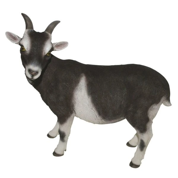 Vivid Arts 29cm Standing Goat- XRL-GOAT-D 1 Vivid Arts 29cm Standing Goat- XRL-GOAT-D