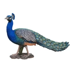 Vivid Arts 85cm Peacock - XRL-PCOK-A
