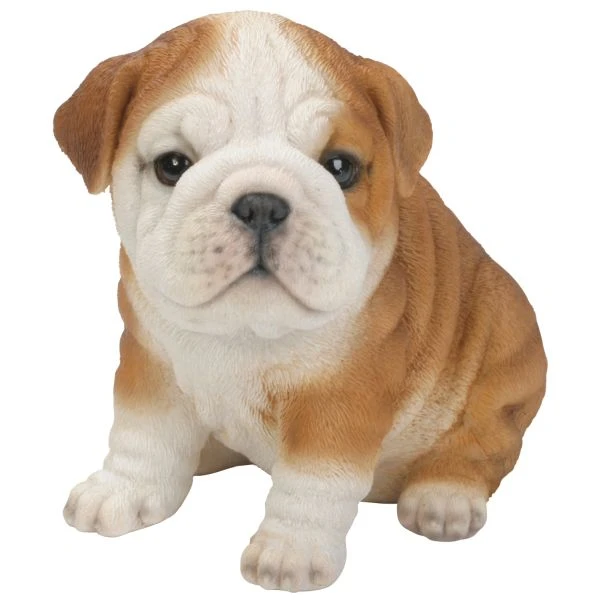 Vivid Arts 19cm Bulldog Puppy Pet Pals - PP-BDOG-F 1 Vivid Arts 19cm Bulldog Puppy Pet Pals - PP-BDOG-F