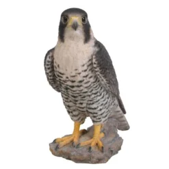 Vivid Arts 25cm Peregrine Falcon - XRL-PFAL-B